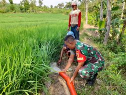 Babinsa Koramil 0810/18 Ngetos Laksanakan Pendampingan Penggunaan Mesin Pompa Air Bantuan Dari TNI AD