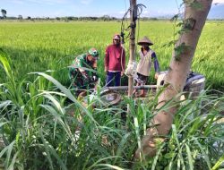 Peran Aktif Babinsa Desa Sekarputih Koptu Purwanto Dalam Pendampingan Program Pompanisasi Sawah Untuk Ketahanan Pangan