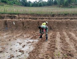 Berkat Kerja Keras Babinsa Petani Kini Tak Kesulitan Mengairi Ladang Jagung