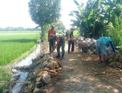 Pentingnya Jalan Usaha Tani Untuk Meningkatkan Hasil Pertanian, Babinsa Bantu Perbaiki Jalan Usaha Tani