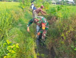 Menangkaan Hati Rakyat Babinsa Desa Girirejo bahu membahu Membantu Kegiatan Karya Bhakti Bersama Warga