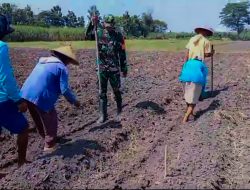 Babinsa Koramil 0810/06 Kertosono Berikan Dorongan & Motivasi Kelompok Tani Guna Menjaga Produksi Pertanian Pada Ketahanan Pangan Nasional