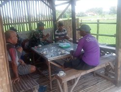 Komsos Babinsa Dengan Kelompok Tani Tingkatkan Hasil Panen Dukung Ketahanan Pangan Nasional