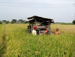 Program Pompanisasi, Babinsa Koramil 0810/ 02 Bagor Bantu Petani Mengairi Sawah