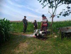 Babinsa Koramil 09/Ngronggot Dampingi PPL Dalam Pengecekan Pompanisasi Di Desa Klurahan