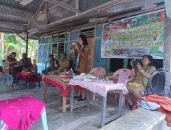 Dukung Program Pemerintah Dalam Pengembangan Swadaya Pangan, Babinsa Kodim 1621/TTS Ikuti Acara Pelatihan Pertanian Untuk Poktan Dari Dinas Ketahanan pangan Kab.TTS