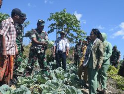 Dandim 1621/TTS Letkol Inf Sobirin S. Ag., M. Si., Dampingi Danrem 161/WS Mengecek Pompa Hidram Sekaligus Panen Hasil pertanian Di Desa Mnelalete