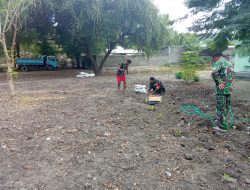 Tingkatkan Ketahanan Pangan Di Wilayah Teritorial, Danramil 05/Panite Bersama Anggota Tanam Bibit Sayur