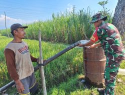 Dukung Ketahanan Pangan Babinsa Desa Sidorejo Koramil 05 Sawahan Berikan Pendampingan Dan Motifasi.