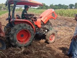 Dukung Ketahanan Pangan Babinsa Dampingi Warga Binaan Dalam Pengolahan Lahan Pertanian