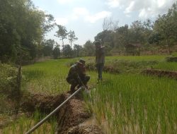 Melalui Program Pompanisasi, Babinsa Koramil 18 Ngetos Terjun Langsung Bantu Petani Mengairi Sawah