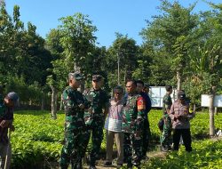 TNI-AD Bersama PPAD Tinjau Lokasi Pembibitan Buah Sukun Menghadapi Ancaman Krisis Pangan Di Wilayah Kabupaten Nganjuk