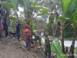 Danramil 1621-02/Abanteng Kerahkan Babinsa, Gotong Royong Bersihkan dan Rawat Pisang warga.