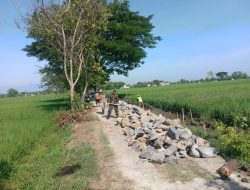 Kegiatan Karya Bhakti Babinsa Desa Mendak Perbaiki Saluran Irigasi Bersama Masyarakat