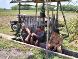 Sinergitas Babinsa Desa Ngadirejo dan PPL Berikan Motivasi Kepada Kelompok Tani.