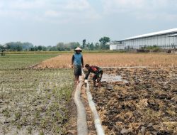 Sertu Darmono Babinsa Koramil 0810/13 Lengkong Berikan Pendampingan Pada Kegiatan Pompanisasi