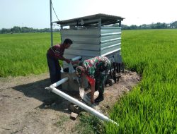 Motivasi Petani, Babinsa Kodim 0802/Ponorogo Bantu Petani Rawat Tanaman Padi
