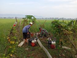 Bantu Petani,  Babinsa Kodim 0802/Ponorogo Pendampingan Pengairan Pompanisasi