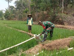 Ringankan Beban Warganya Dalam Mengatasi Kekeringan Babinsa Ngetos Pendampingan Pompanisasi Kepada Petani.