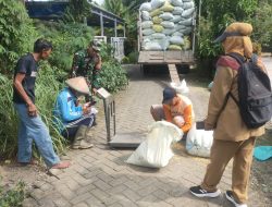 Serda Khoirul Fuad Babinsa Koramil 0810/07 Patianrowo bersama PPL Dampingi Sergap Bulog