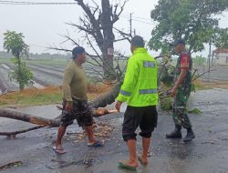 Babinsa Koramil 0810/15 Rejoso dengan Tanggap Bantu Warga Bersihkan Pohon Tumbang di Wilayah Binaannya
