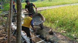 Babinsa Koramil 0810/04 Berbek Kerja Bakti Bersama Pertani Pembuatan Irigasi Sawah di Desa Binaan