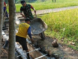 Babinsa Koramil 0810/04 Berbek Kerja Bakti Bersama Pertani Pembuatan Irigasi Sawah di Desa Binaan