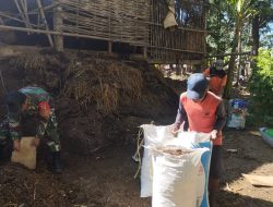 Babinsa Koramil 0810/04 Berbek Bantu Warga Angkut Pupuk Kandang untuk Tanaman Jagung