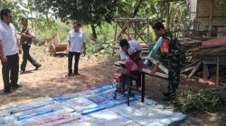 Babinsa Dampingi Pelatihan Pembuatan Pakan Ternak Metode Silase di Desa Getas