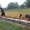 Babinsa Serma Aziz Bersama Warga Banaran Wetan Laksanakan Karya Bhakti Pembersihan Saluran Air Persawahan