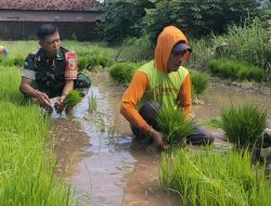 Babinsa Koramil 0810/10 Tanjunganom Laksanakan Komsos Bersama Warga Binaan