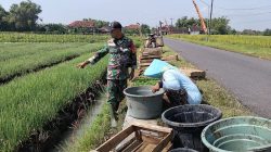 BABINSA KEL. SUKOMORO KORAMIL 0810/16 SUKOMORO MELAKSANAKAN BINKOMSOS WARGA BINAAN