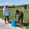 BABINSA KORAMIL 0810 -02/ BAGOR MENDAMPINGI PENYEMPROTAN PADI DI DESA BINAAN