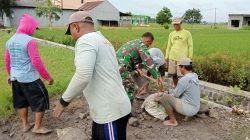 Babinsa Koramil 0810/16 Sukomoro Bersama Poktan Sri Rejeki Laksanakan Kerja Bakti Perbaikan Jalan Usaha Tani
