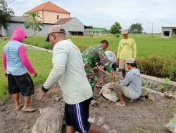Babinsa Koramil 0810/16 Sukomoro Bersama Poktan Sri Rejeki Laksanakan Kerja Bakti Perbaikan Jalan Usaha Tani