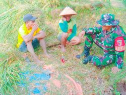 Babinsa Koramil 0810/05 Sawahan Laksanakan Komsos Bersama Petani Desa Sawahan