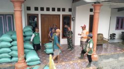 Babinsa Koramil 0810/11 Prambon Dampingi Penyerapan Gabah Petani oleh Bulog di Desa Sonoageng