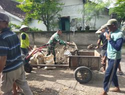 Untuk Menunjang Aktifitas Para Petani, Babinsa Desa Sukorejo Laksanakan Kerja Bakti Pengurukan Jalan Persawahan