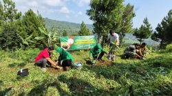 PEDULI LINGKUNGAN, PERSIT KCK CABANG XXIII DIM 0810 TANAM POHON DI LERENG GUNUNG WILIS