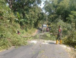 BABINSA DESA KWEDEN KORAMIL 0810/18 NGETOS BERSAMA WARGA LAKSANAKAN KERJA BAKTI PEMBERSIHAN RANTING POHON