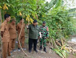 Babinsa Desa Jatirejo Bersinergi dengan PUPR Tinjau Lokasi Rencana Pembangunan Jembatan Garuda