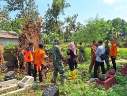 SINERGI TNI-POLRI DAN BPBD DALAM KERJA BAKTI PASCA BENCANA ANGIN PUTING BELIUNG DI DS. NGADIPIRO