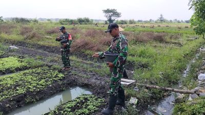 Sertu Puguh Laksanakan Komsos Bersama Petani Bayam di Kelurahan Sukomoro