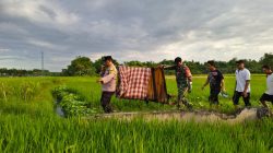 Babinsa Koramil 0810/15 Rejoso Bantu Evakuasi Warga yang Meninggal di Area Persawahan Wilayah Binaannya