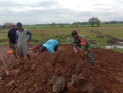 Menjelang Musim Panen, Babinsa Desa Ngangkatan Laksanakan Kerja Bakti Perbaikan Jalan Persawahan di Wilayah Binaan
