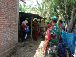 BABINSA KORAMIL 0810/08 BARON LAKSANAKAN SOSIALISASI DAN PENGECEKAN TERNAK GUNA ANTISIPASI PMK