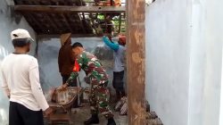 Wujud Kemanunggalan TNI dan Rakyat, Babinsa Koramil Tanjunganom Bantu Pembangunan Rumah Warga di Desa Getas