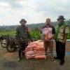 BABINSA KLODAN DAMPINGI PETANI TERIMA BANTUAN BENIH JAGUNG HIBRIDA