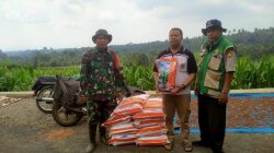 BABINSA KLODAN DAMPINGI PETANI TERIMA BANTUAN BENIH JAGUNG HIBRIDA