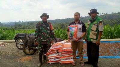 BABINSA KLODAN DAMPINGI PETANI TERIMA BANTUAN BENIH JAGUNG HIBRIDA